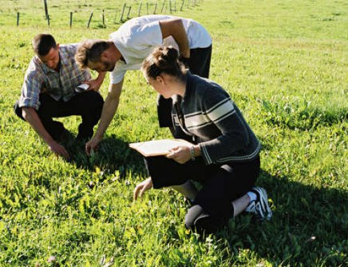 Partenariat avec l’enseignement agricole