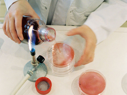 Tech-Bacterio-30.jpg-800_modif